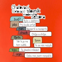 Chatovací slovník moderního seniora (Běžící češtinář)