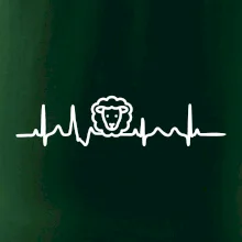 Ekg ovce Ekg ovce