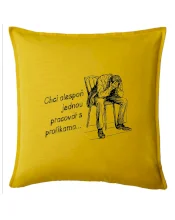 Chci alespoň jednou pracovat s profíkama