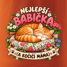 Nejlepší babička a kočičí máma spící zrzavý kocour