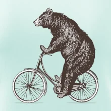Medvěd na kole