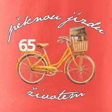 Mužská jízda životem 65