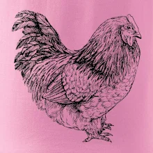 Slepice černobílá