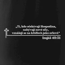 Citáty z bible - Izajáš 40:31