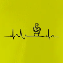 EKG Filodendron EKG Filodendron