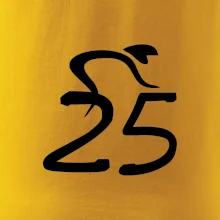 Cyklista slaví pětadvacítku (25)