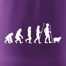 Evoluce pastevec ovcí