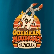 Odebírám moudrost na počkání