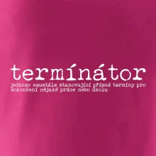 Čeština 2.0 - termínátor