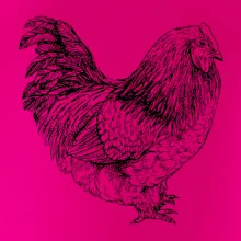 Slepice černobílá