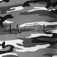 EKG morče EKG morče