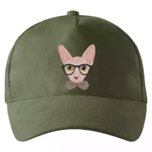 Hipster sphynx