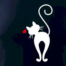 Zamilovaná kočka zezadu