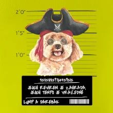 Lump a darebák pudl