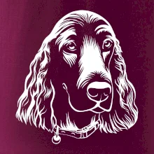 Kokršpaněl - hlava kreslená