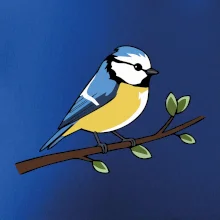 Sýkorka modřinka na větvi