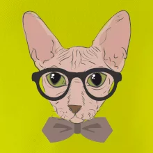 Hipster sphynx