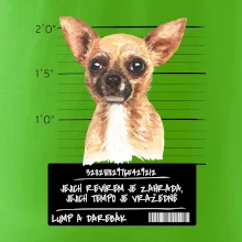 Lump a darebák čivava