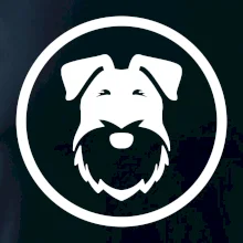 Knírač v kolečku na prsu