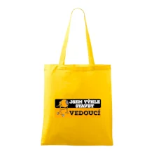 Jsem týhle stavby vedoucí