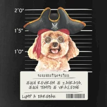 Lump a darebák pudl