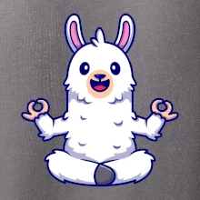 Yoga meditace - lama