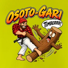 Osoto gari timber judo