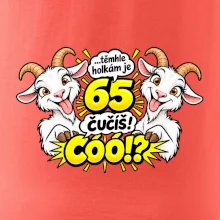 Těmhle holkám je 65, čučíš co?