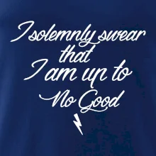 I solemnly swear that I'm up to no good
