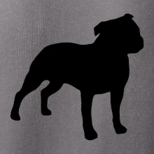 Americký stafordširský teriér  Na prsu