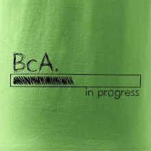 In progress  titul BcA. bakalář / bakalářka umění