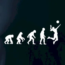 Evoluce volejbal culík Evoluce volejbal culík