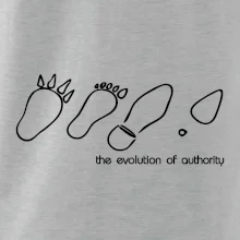 Evolution of authority
