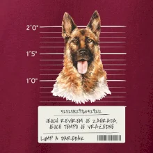 Lump a darebák - Německý ovčák