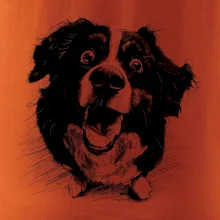 Černobílá karikatura Bernský salašnický pes