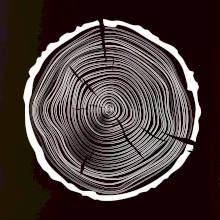 Letokruhy 50 bez věku