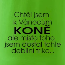 Chtěl jsem dostat k Vánocům koně