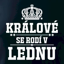 Králové se rodí v lednu