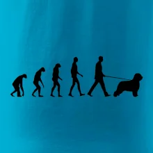Evoluce pes Briard Evoluce pes Briard