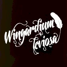 Harry - Wingardium Leviosa