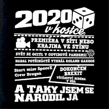 2020 v kostce