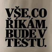 Vše co říkám bude v testu