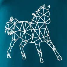 Geometrie - kůň jednobarevná