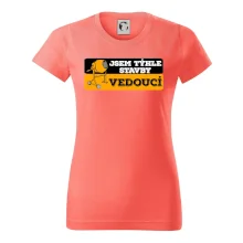 Jsem týhle stavby vedoucí