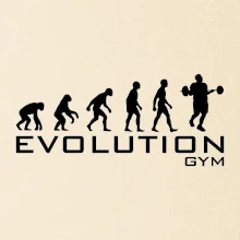 Evoluce Gym