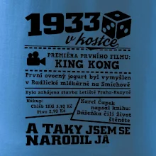 1933 v kostce