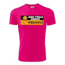 Jsem týhle stavby vedoucí