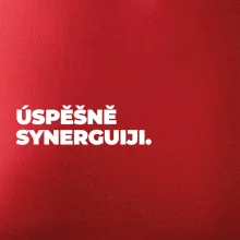 ÚSPĚŠNĚ SYNERGUIJI.