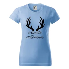 Harry - Expecto patronum