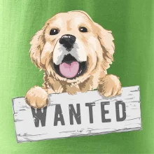 Zlatý retriever - štěně wanted